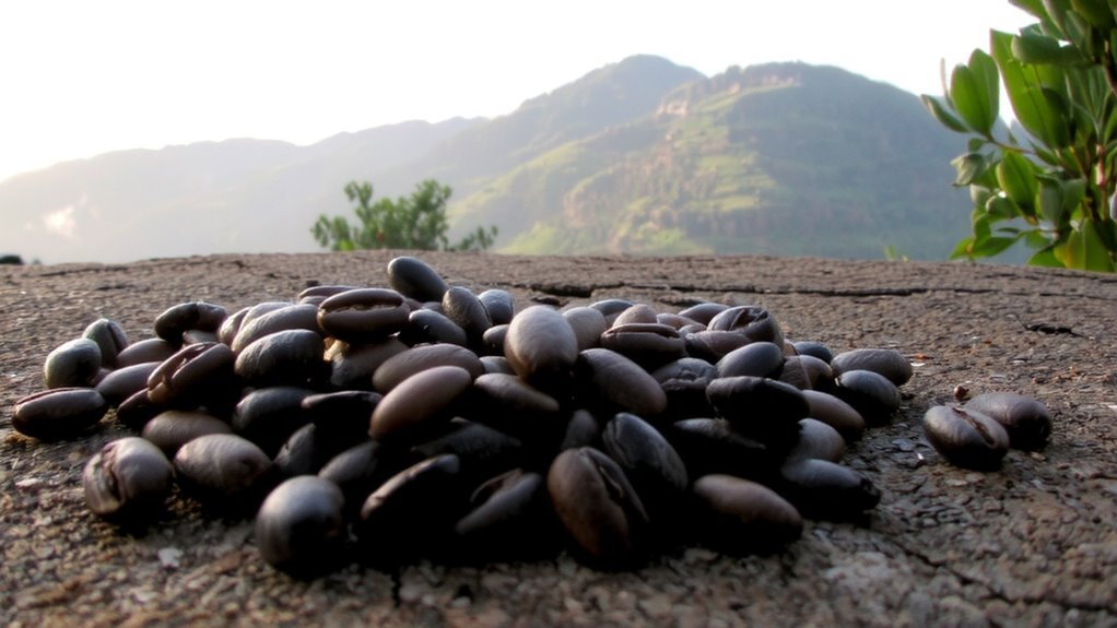 arusha unique bean morphology