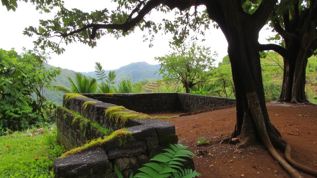 colonial roots of coffee